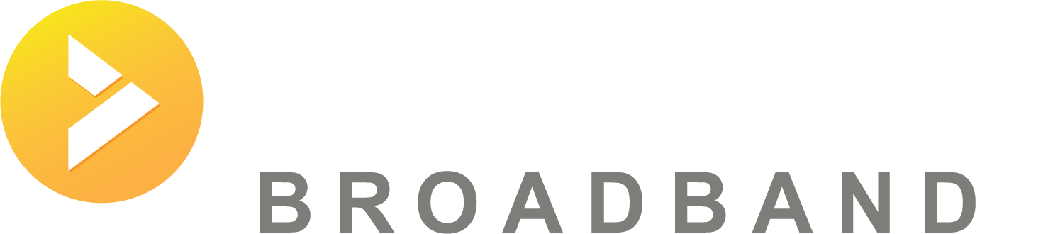 Visionary Logo 2017